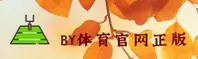BY体育(BYTIYU)官方网站 · 极致竞技体验 · 8A2B